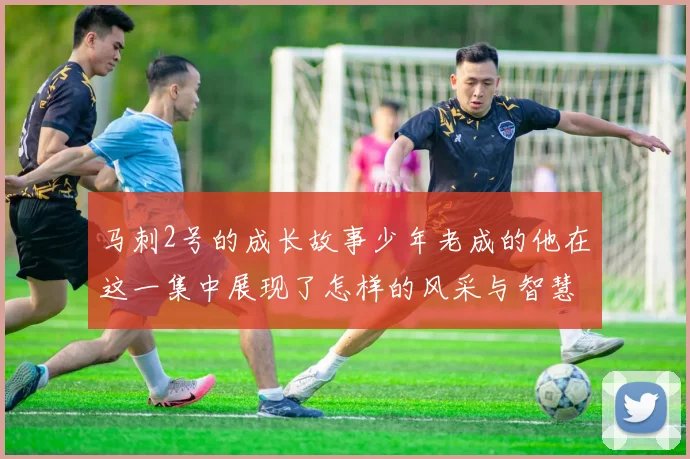 马刺2号的成长故事少年老成的他在这一集中展现了怎样的风采与智慧