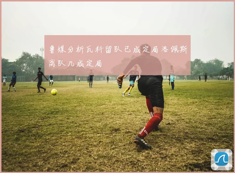鲁媒分析瓦科留队已成定局洛佩斯离队几成定局